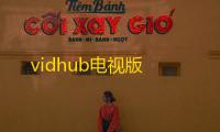 vidhub电视版